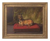 Miniature Pinscher on a Red Stool