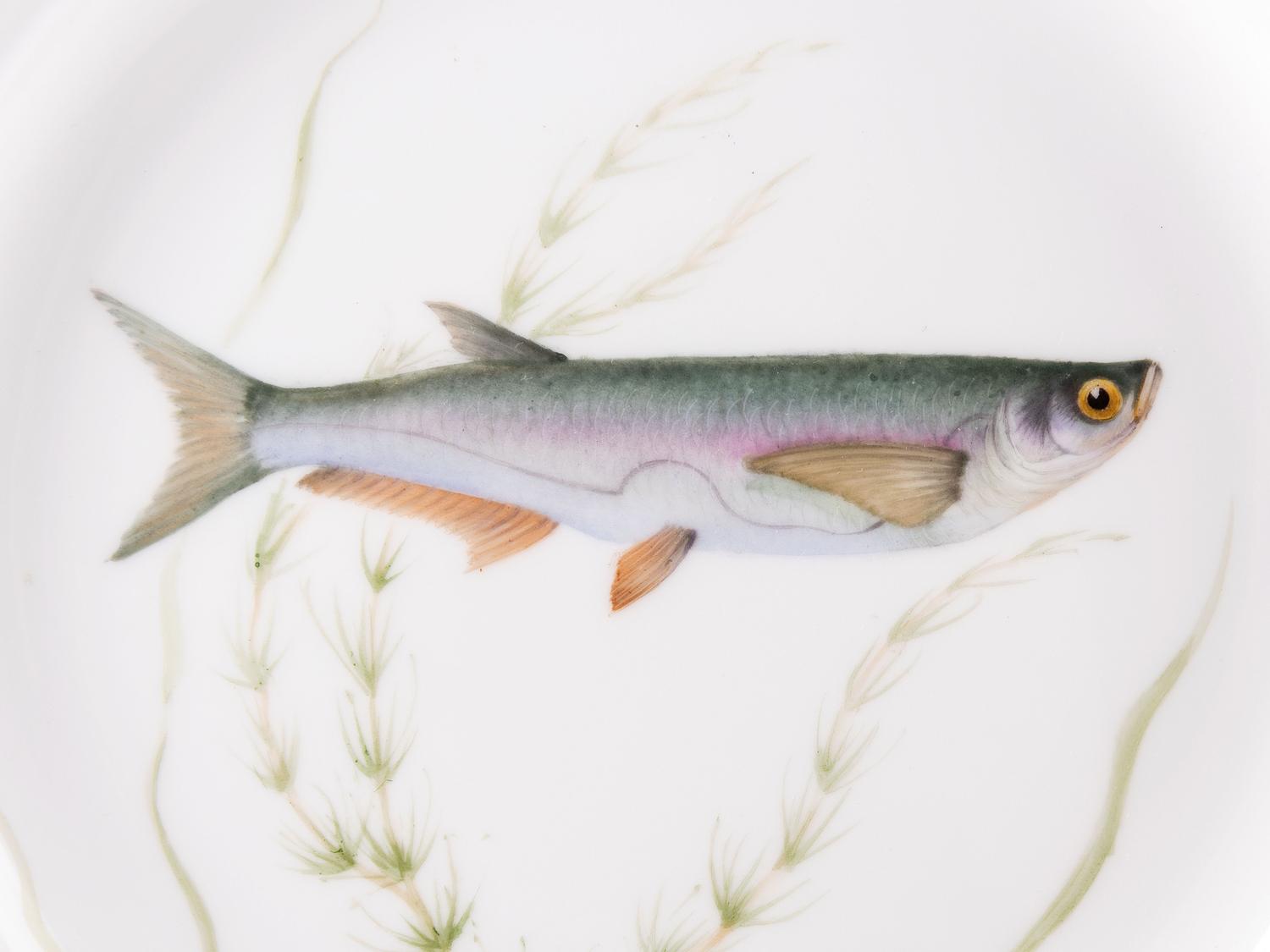 A Set of Twelve Royal Copenhagen Parcel Gilt Porcelain Fish Plates
