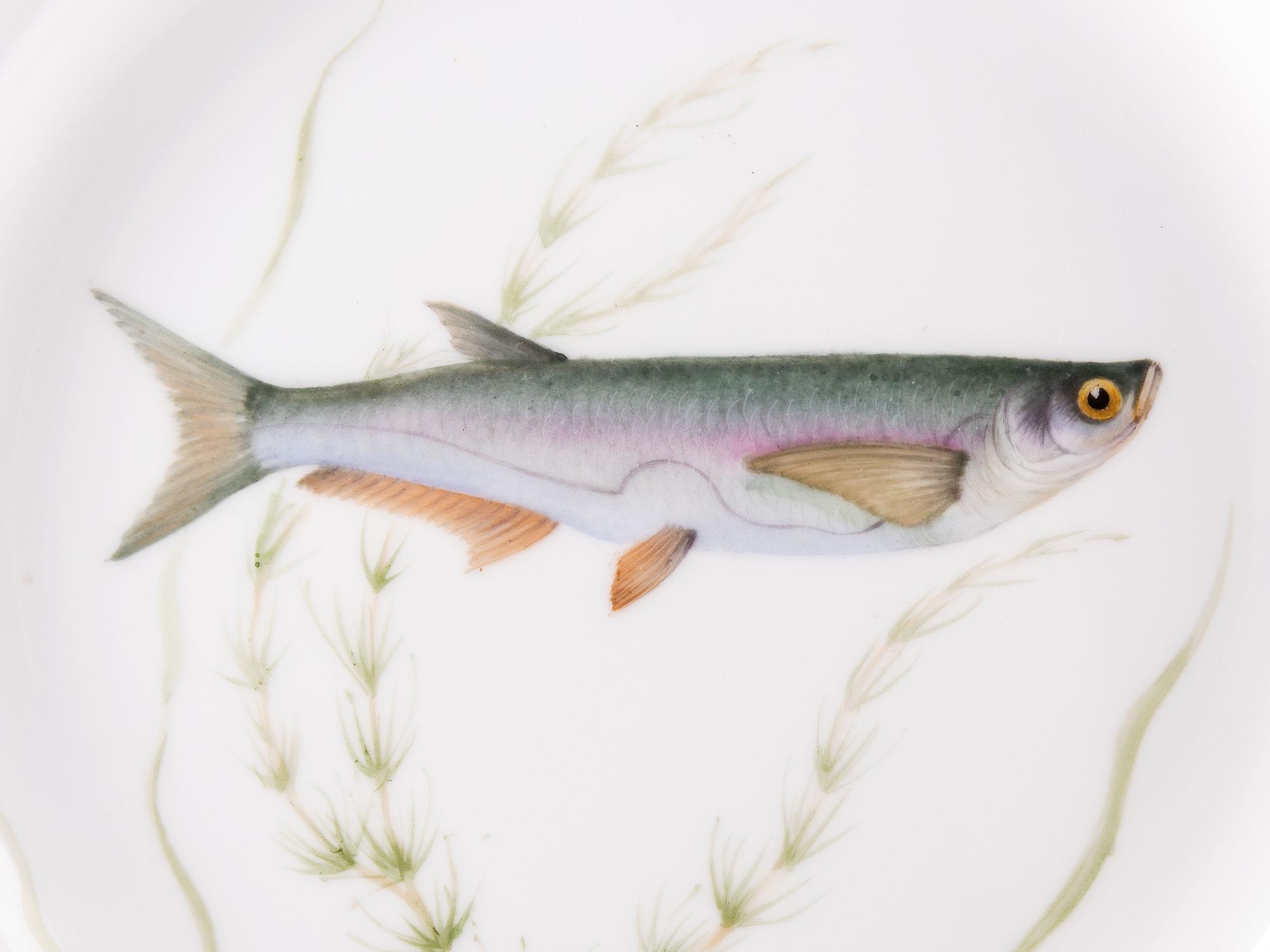 A Set of Twelve Royal Copenhagen Parcel Gilt Porcelain Fish Plates