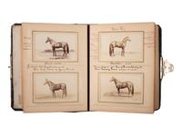 [EARLY PHOTOGRAPHY] -- [EQUESTRIAN]. SCHREIBER & SONS, photographers. Album containing 75 portraits of identified race horses. Philadelphia, PA: ca 1870s.