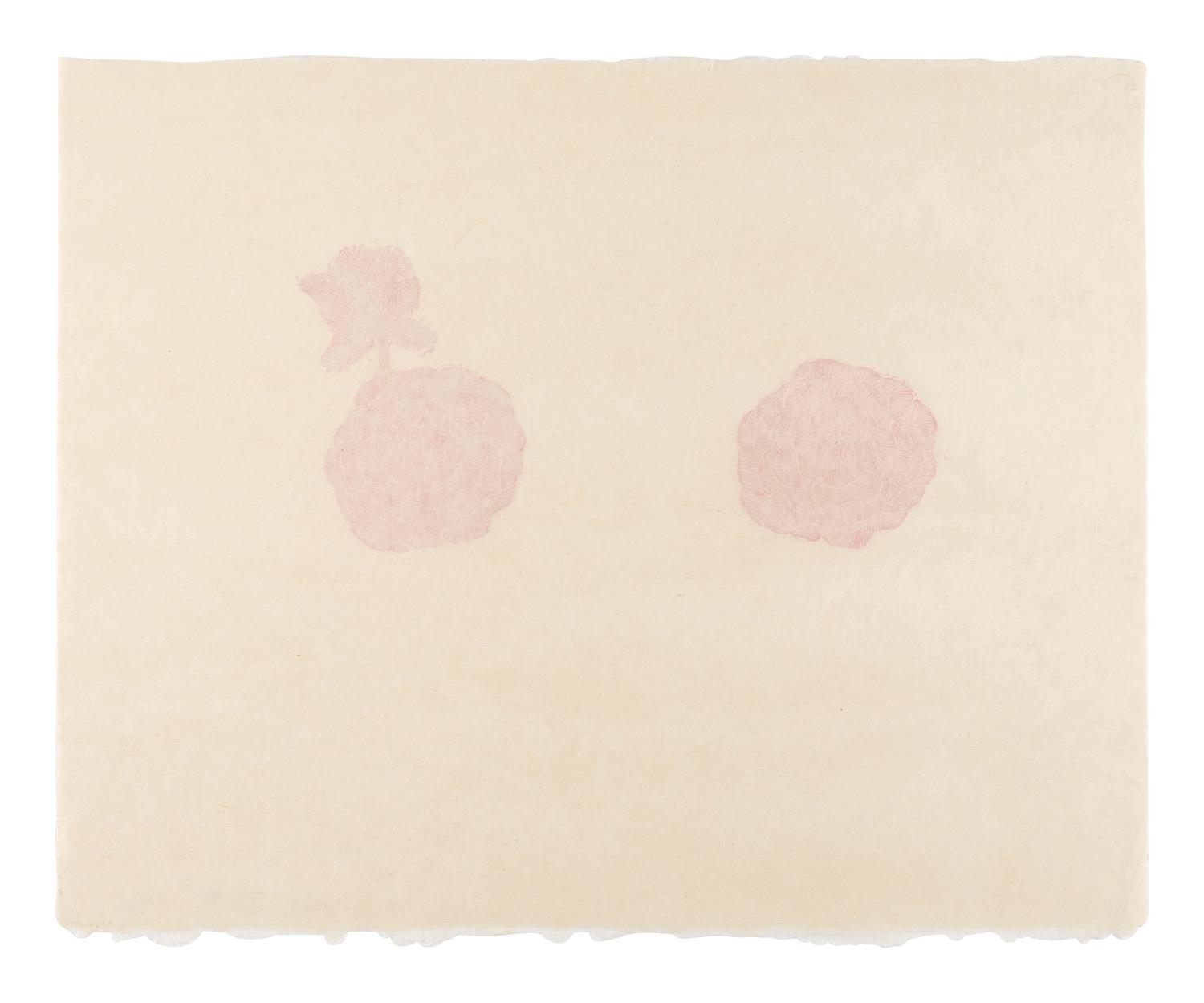 Red Linoleum , 1996