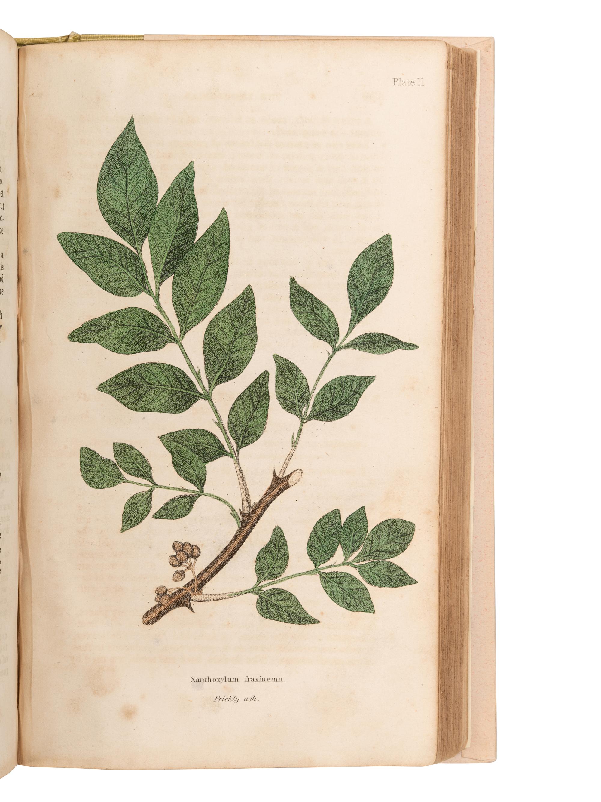 [HERBALS & MATERIA MEDICA]. A group of 8 works, comprising: