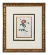 A Set of Six Chromolithographs of Roses after Pierre Joseph Redouté