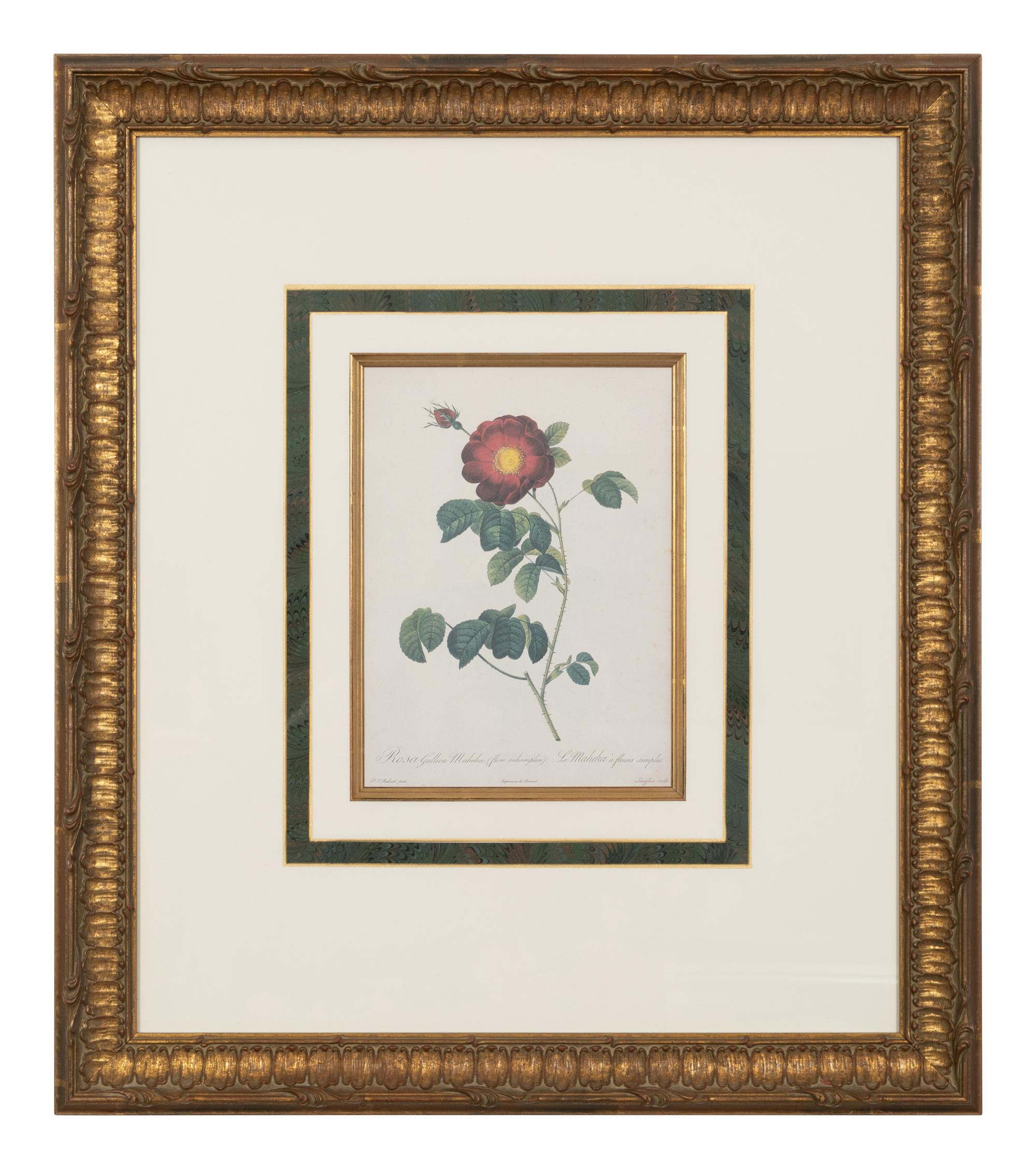 A Set of Six Chromolithographs of Roses after Pierre Joseph Redouté