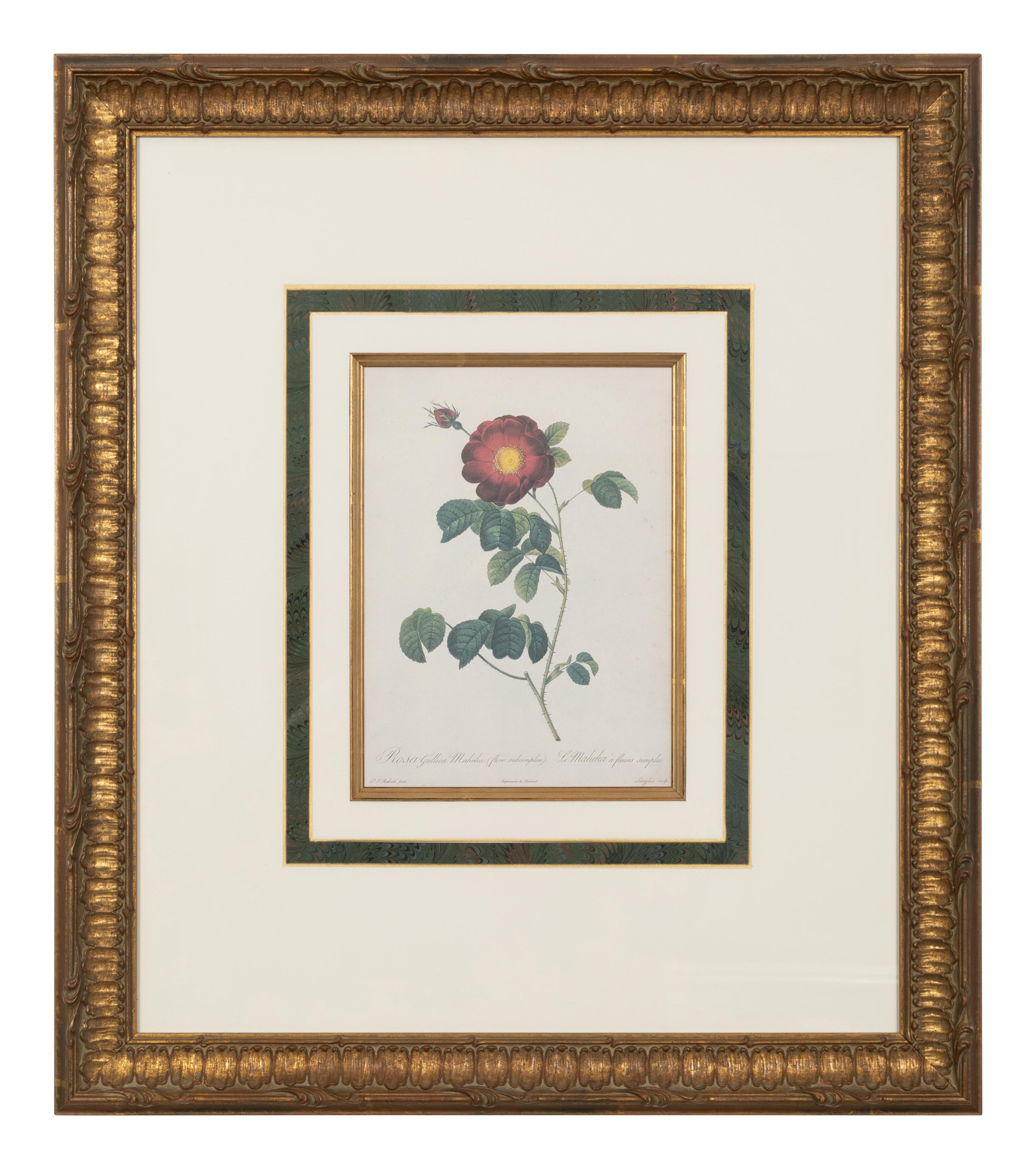 A Set of Six Chromolithographs of Roses after Pierre Joseph Redouté