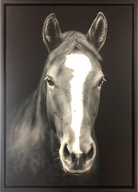 Portrait of a Quarter Horse, edition 3/50, 2020