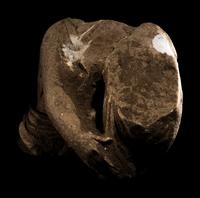 A Tarentine Limestone Fragment