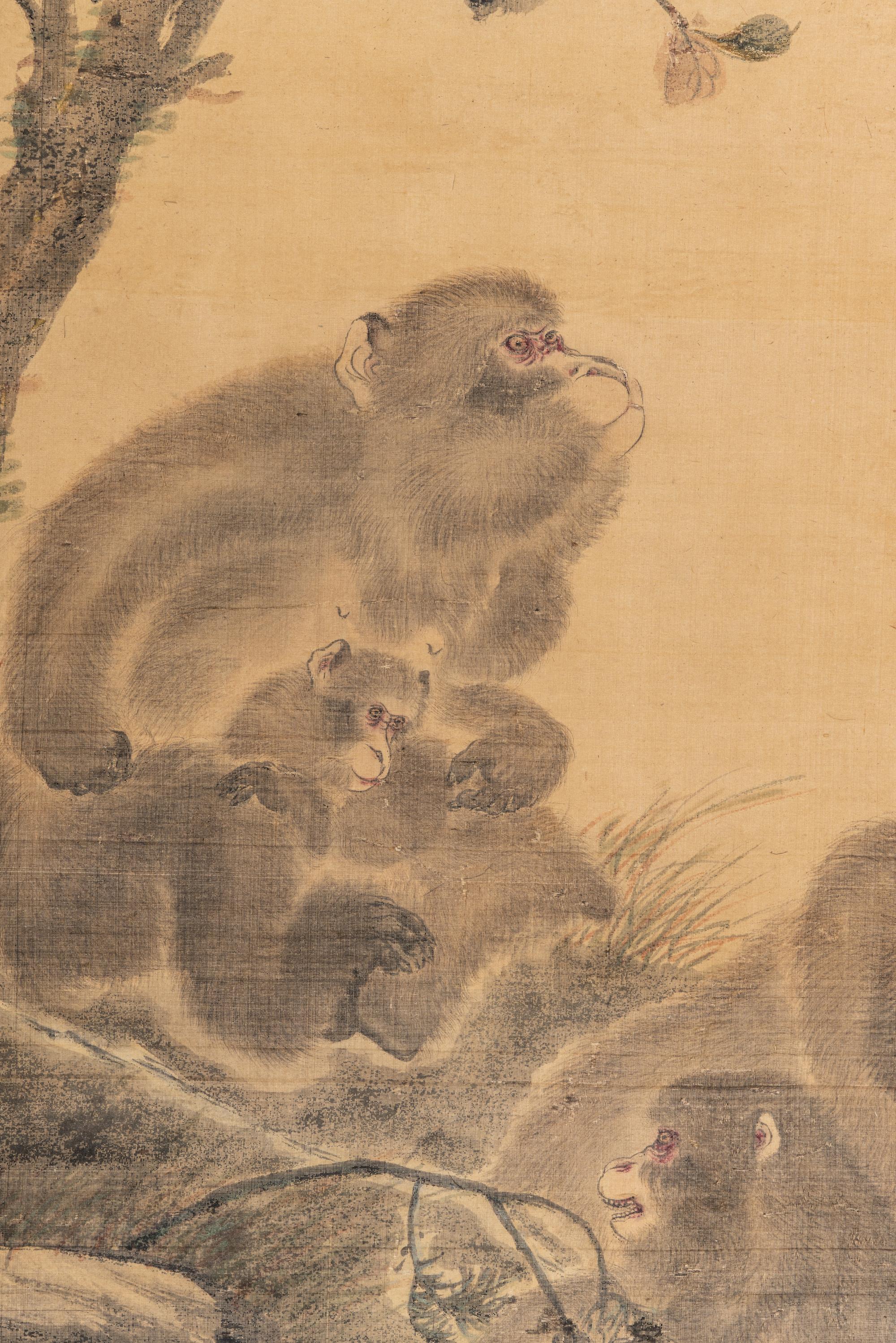 Zhang Wentao