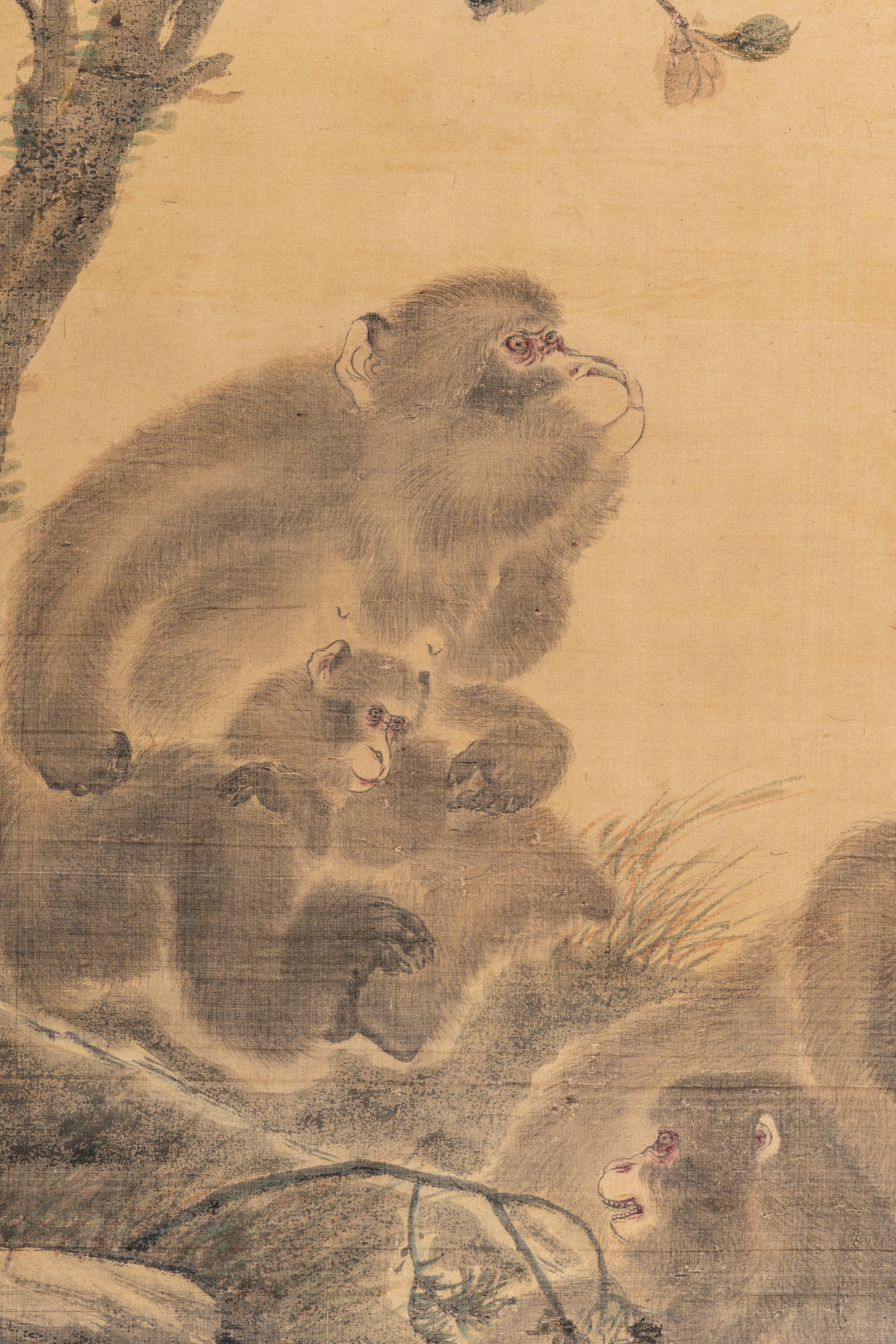 Zhang Wentao