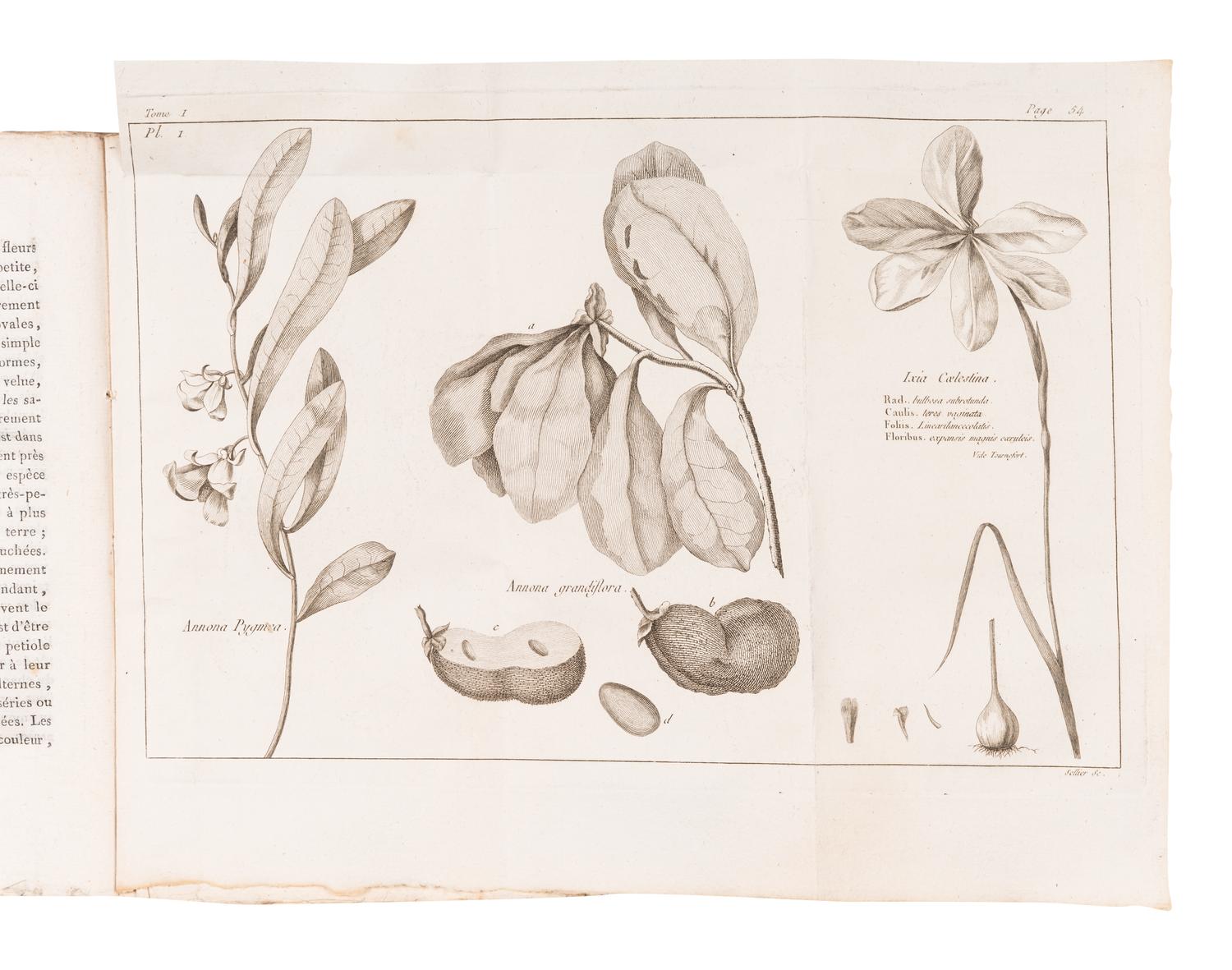 BARTRAM, William (1739-1823). Voyage dans les parties sud de l'Amerique Septentrionale; Savoir: les Carolines septentrionale et meridionale, la Georgie, les Florides orientale et occidentale, le pays des Cherokees, le vaste territoire des Muscogulges ou de la confederation Creek, et le pays des Chactaws . Translated from English into French by P.V. Benoist. Paris: Maradan, An IX [1801].