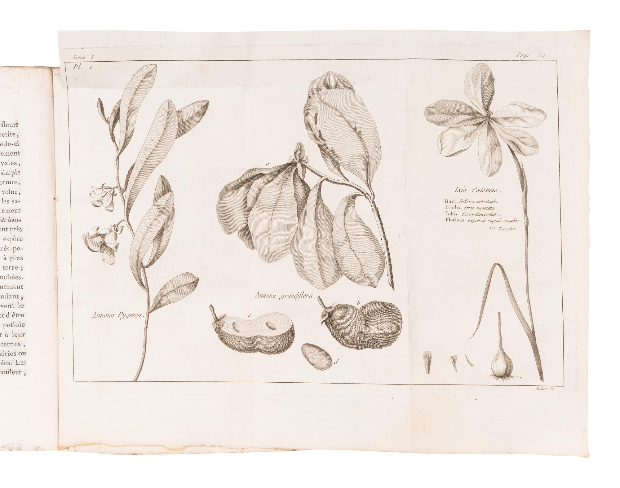 BARTRAM, William (1739-1823). Voyage dans les parties sud de l'Amerique Septentrionale; Savoir: les Carolines septentrionale et meridionale, la Georgie, les Florides orientale et occidentale, le pays des Cherokees, le vaste territoire des Muscogulges ou de la confederation Creek, et le pays des Chactaws . Translated from English into French by P.V. Benoist. Paris: Maradan, An IX [1801].