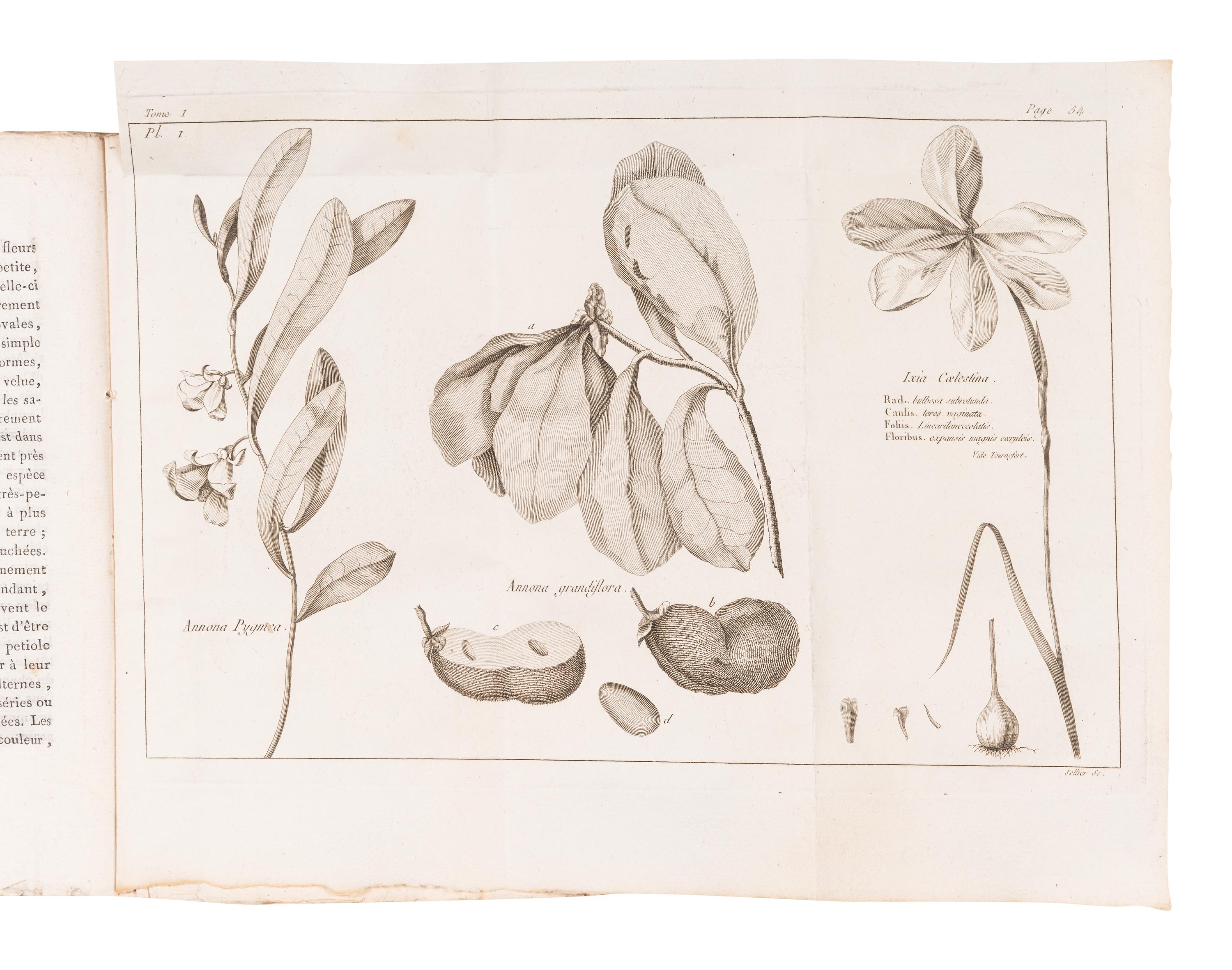 BARTRAM, William (1739-1823). Voyage dans les parties sud de l'Amerique Septentrionale; Savoir: les Carolines septentrionale et meridionale, la Georgie, les Florides orientale et occidentale, le pays des Cherokees, le vaste territoire des Muscogulges ou de la confederation Creek, et le pays des Chactaws . Translated from English into French by P.V. Benoist. Paris: Maradan, An IX [1801].