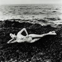 Helmut Newton (Australian/German, 1920–2004) — Nude on Seaweed, Saint Tropez, 1981