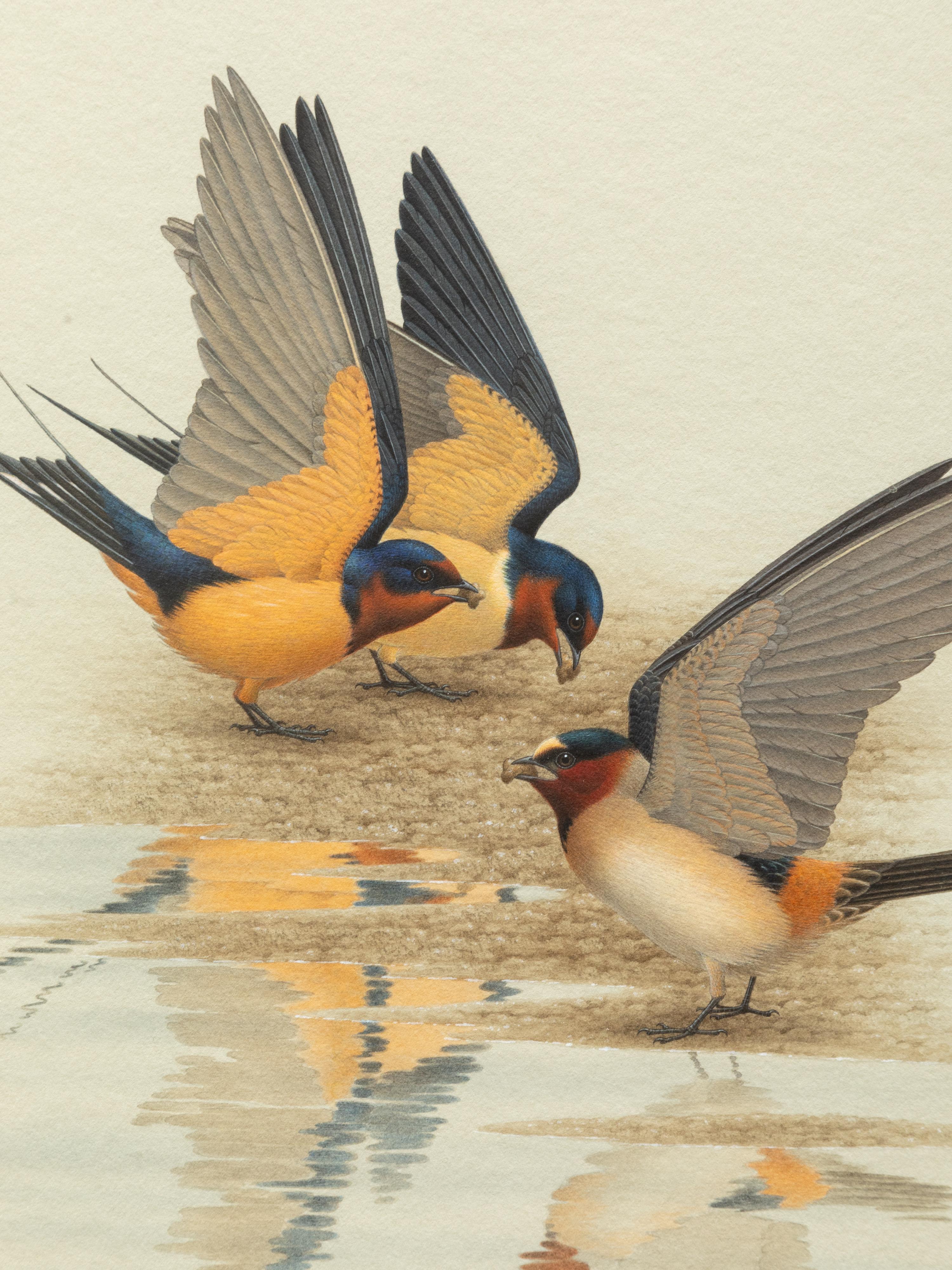 Group of Nine Works, American Bird Series, 1988