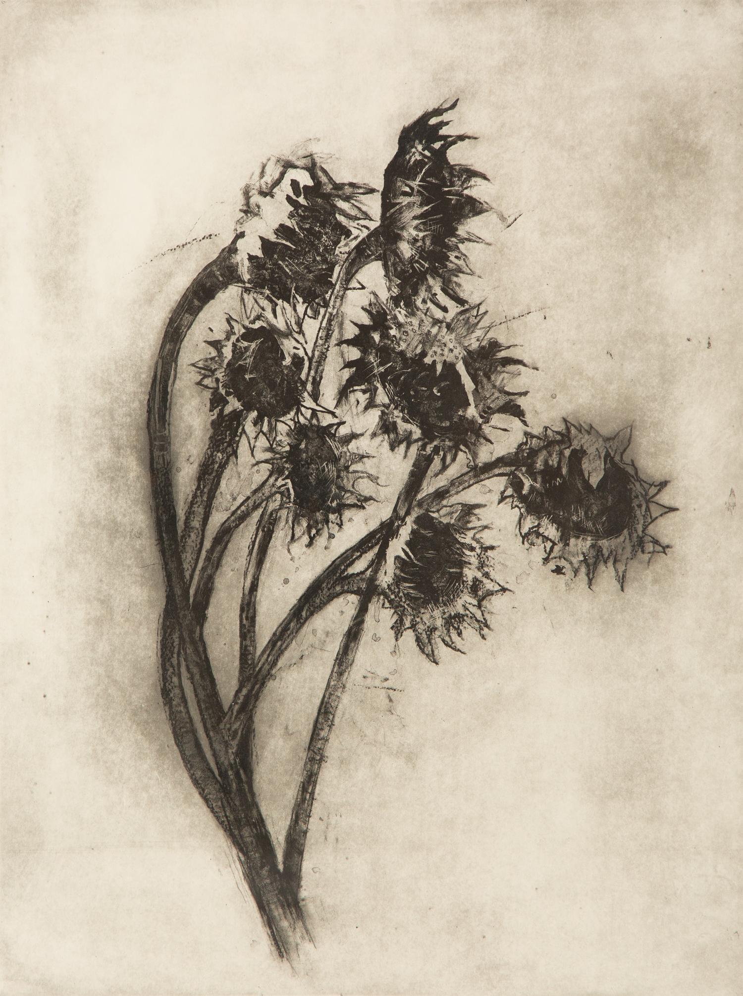 Untitled (Sunflowers)