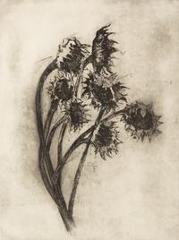 Untitled (Sunflowers)
