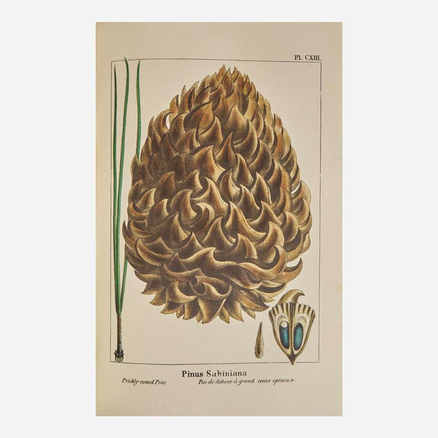 [Americana] Michaux, F. Andrew, and Thomas Nuttall The North American Sylva; or, a Description of the Forest Trees of the United States, Canada, and Nova Scotia...