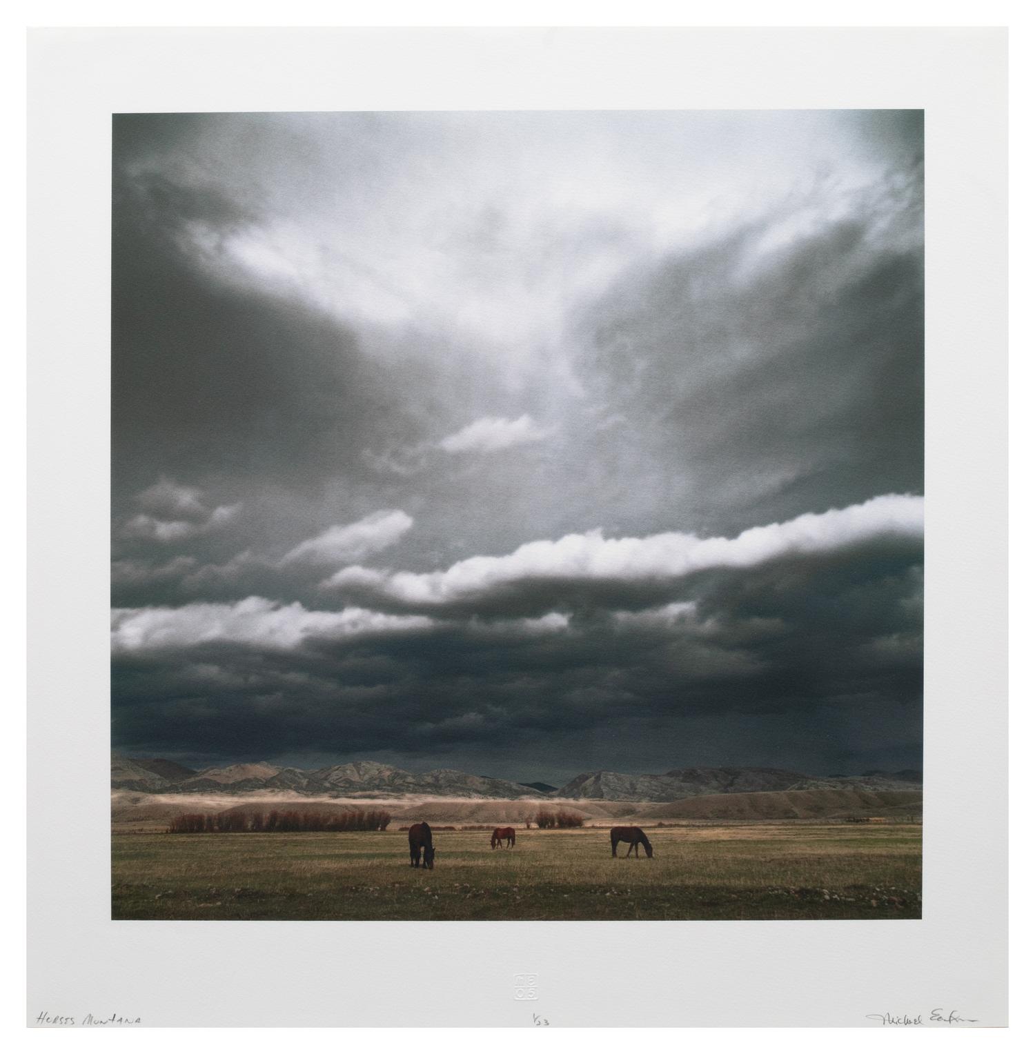 Horses Montana, Badlands, Near Dillon #1, Near Dillon #2 (a group of 4 works), 2005