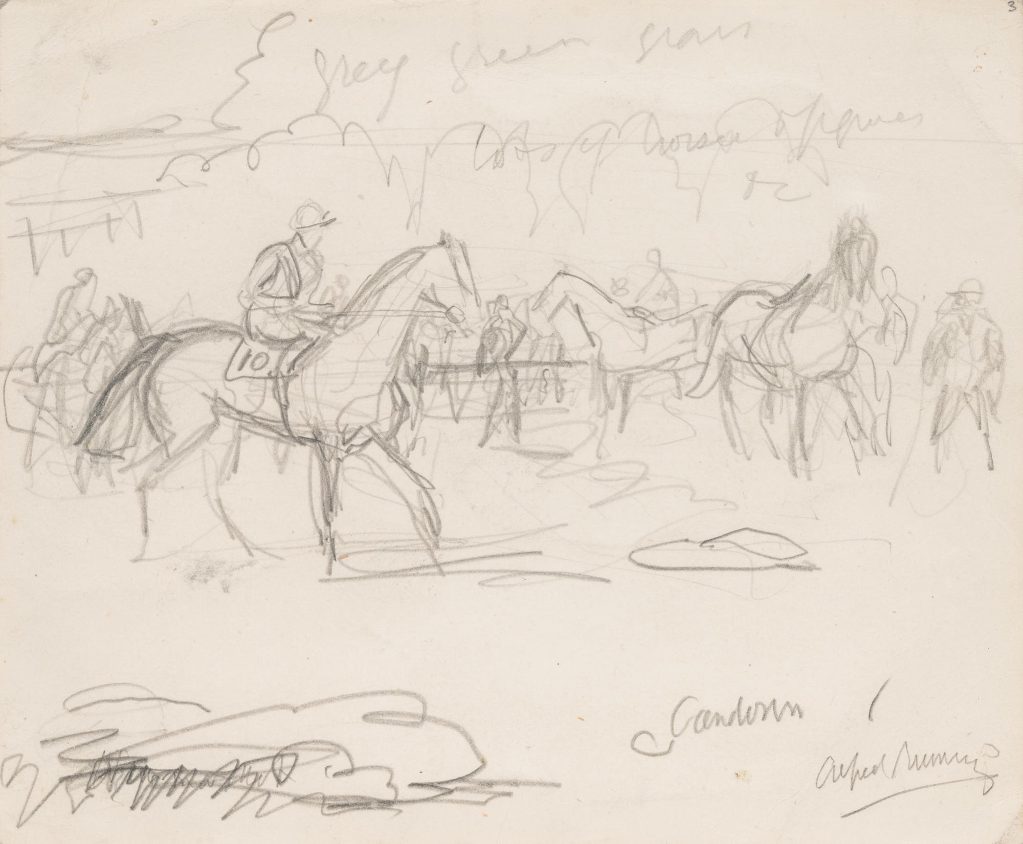 Study with Racehorses