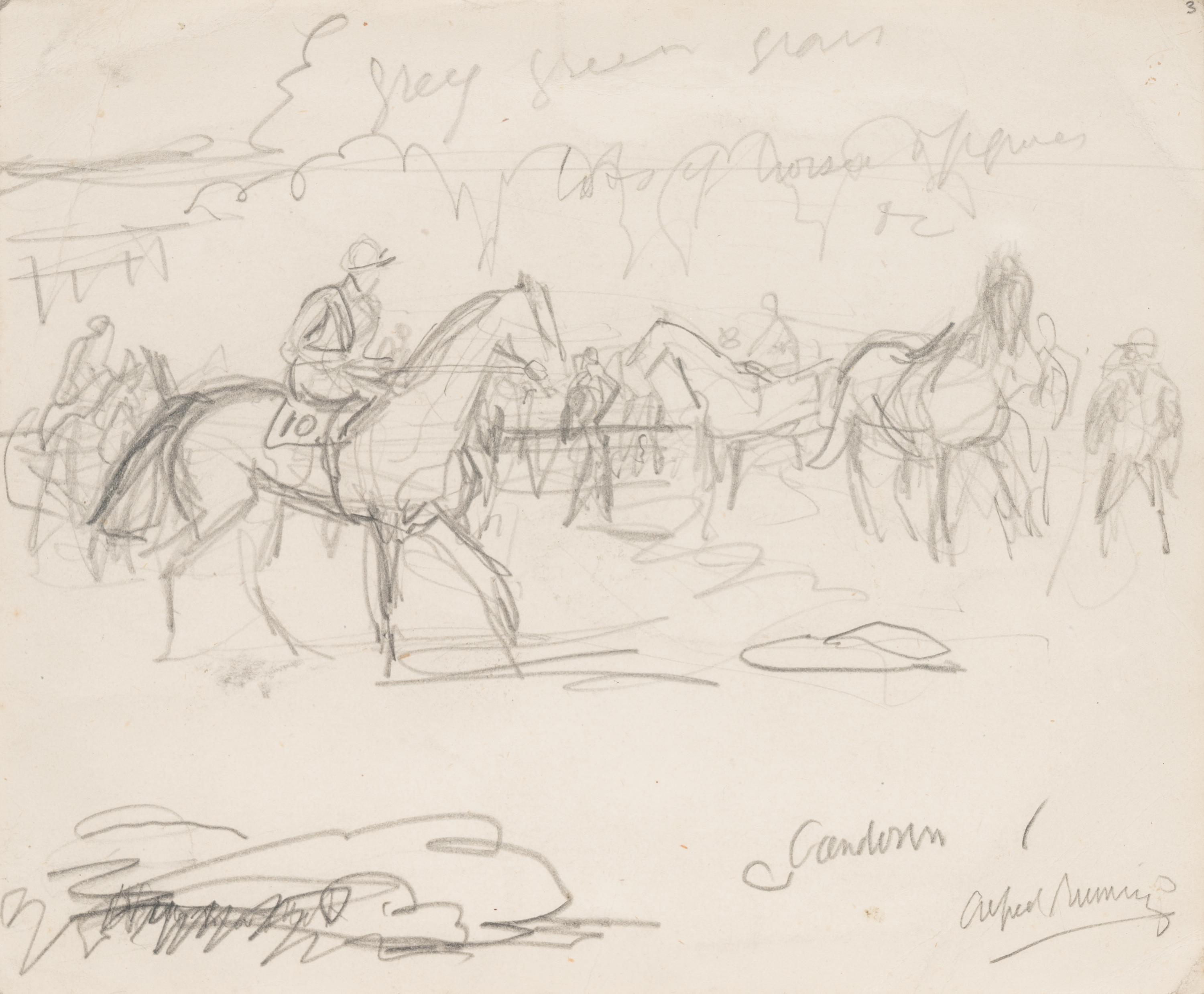 Study with Racehorses