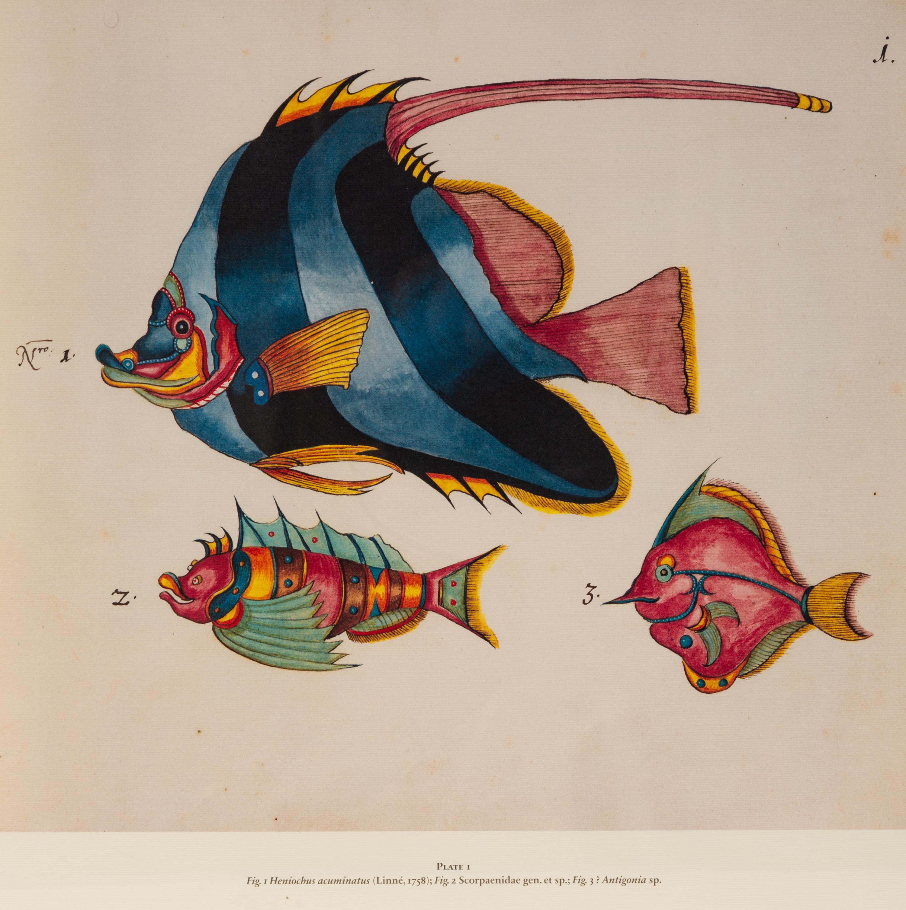 A Suite of Thirteen Framed Giclee Prints of Colorful Tropical Fish — 20TH/21ST CENTURY