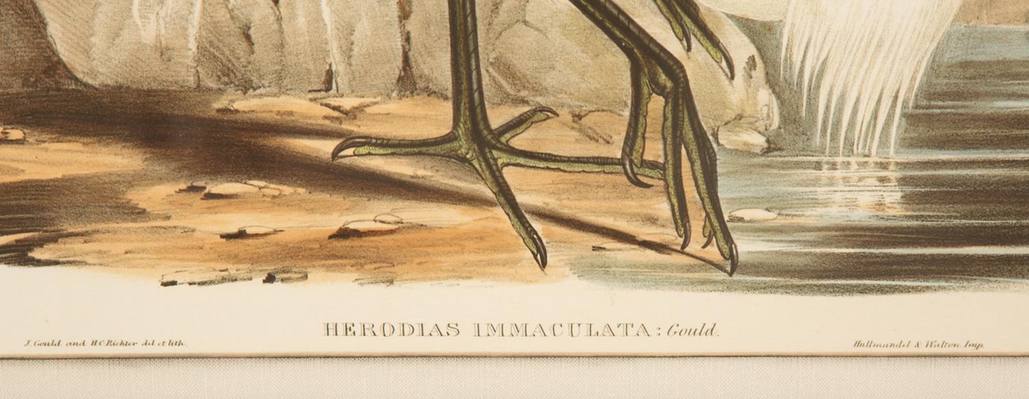 A Gould and Richter Color Print of Herodias Immaculata