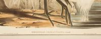 A Gould and Richter Color Print of Herodias Immaculata