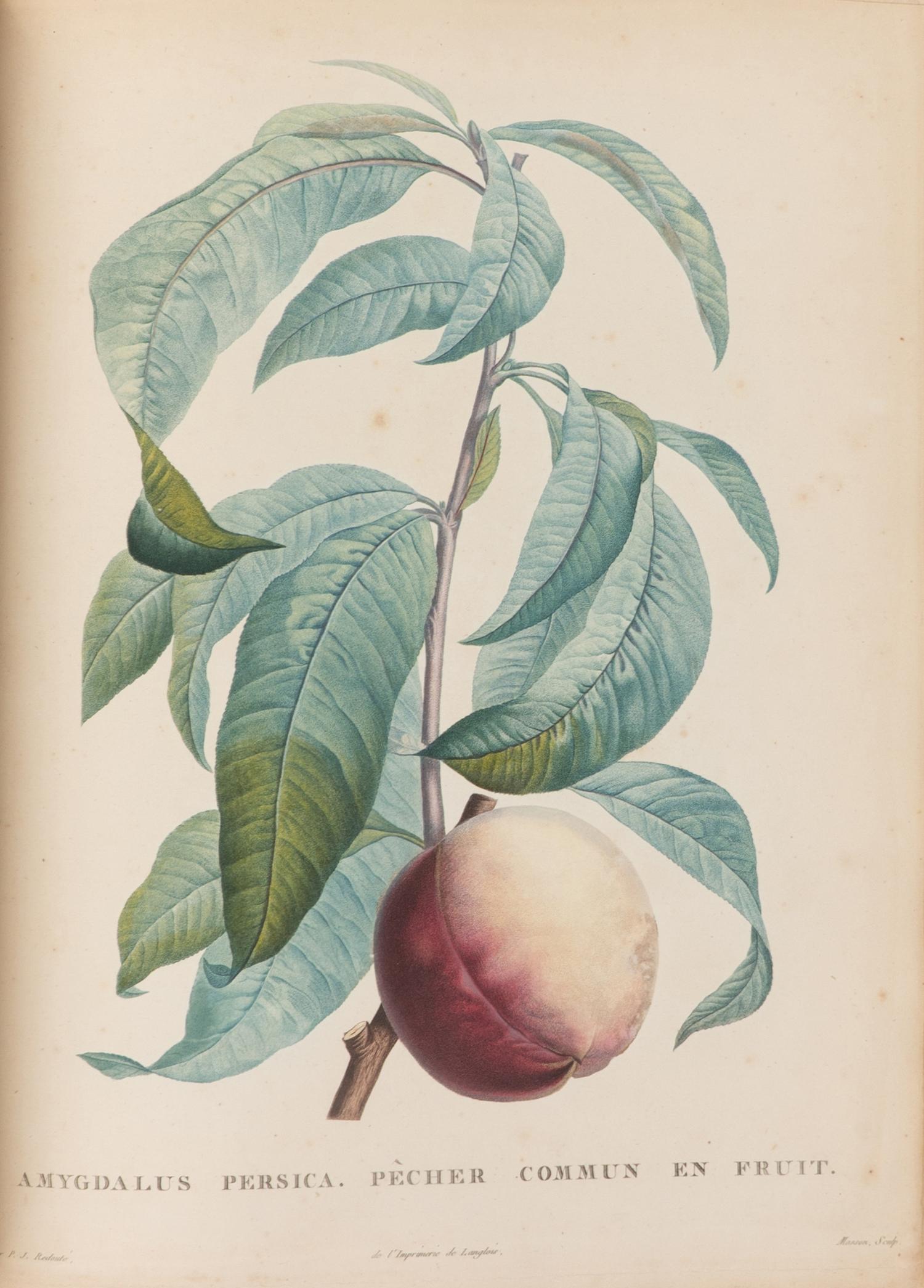 [Natural History] Rousseau, Jean Jacques. La botanique
