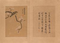 Attributed to Jin Cheng