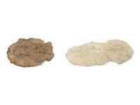 Two Acheulean Stone Handaxes