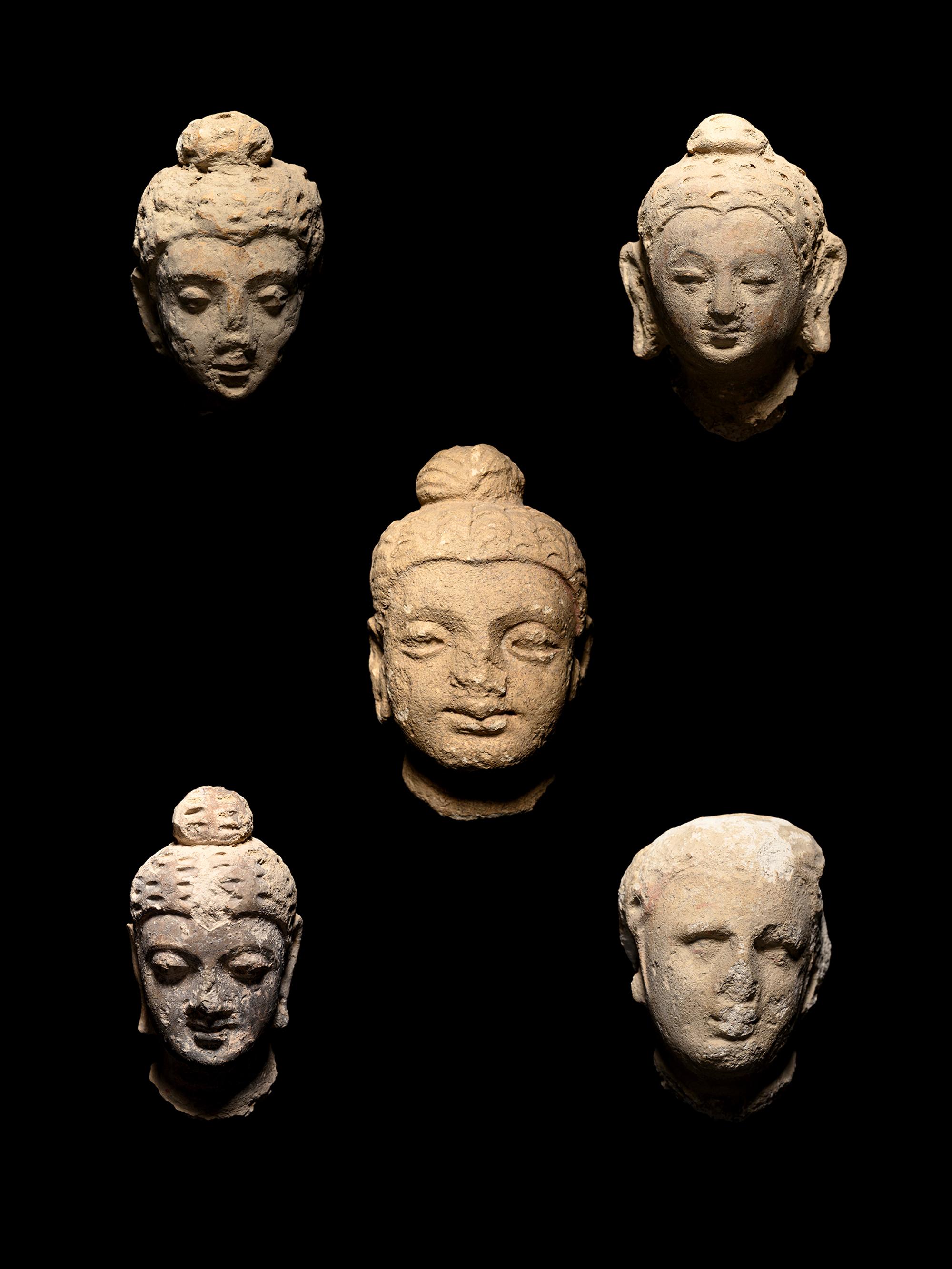 Five Gandharan Fragmentary Stucco Heads