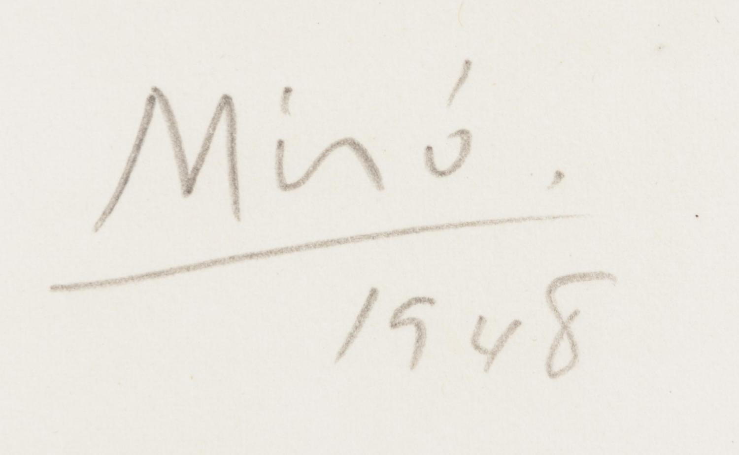 Plate V (from Album 13)