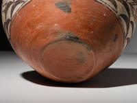 Zia Four Color Pottery Olla, with Parrots