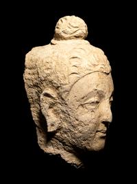 Two Gandharan Fragmentary Stucco Heads