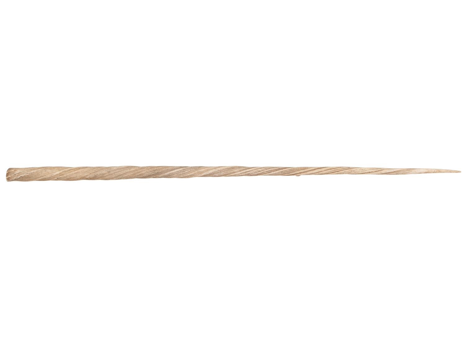 A Narwhal Tusk