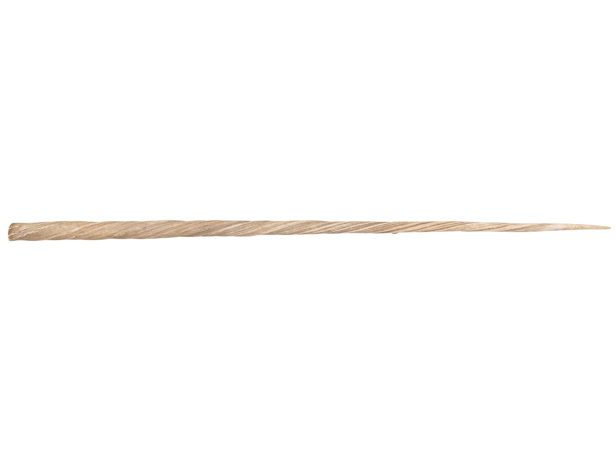 A Narwhal Tusk