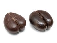 A Pair of Coco de Mer Nuts