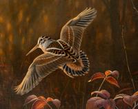 Woodcock , 1998