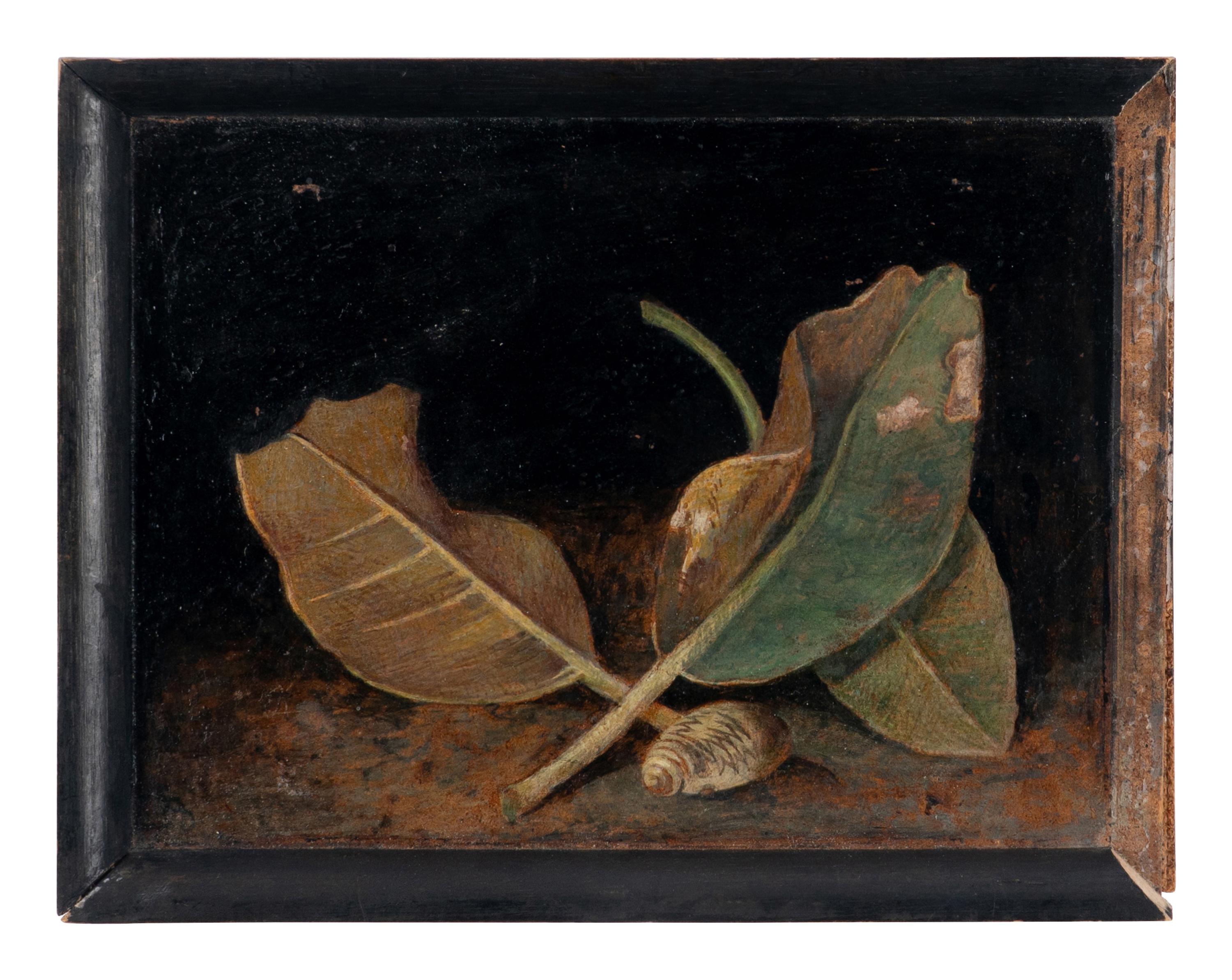 Magnolia Leaves and Shell and Tiger Moth and Nettle (two works), 1971