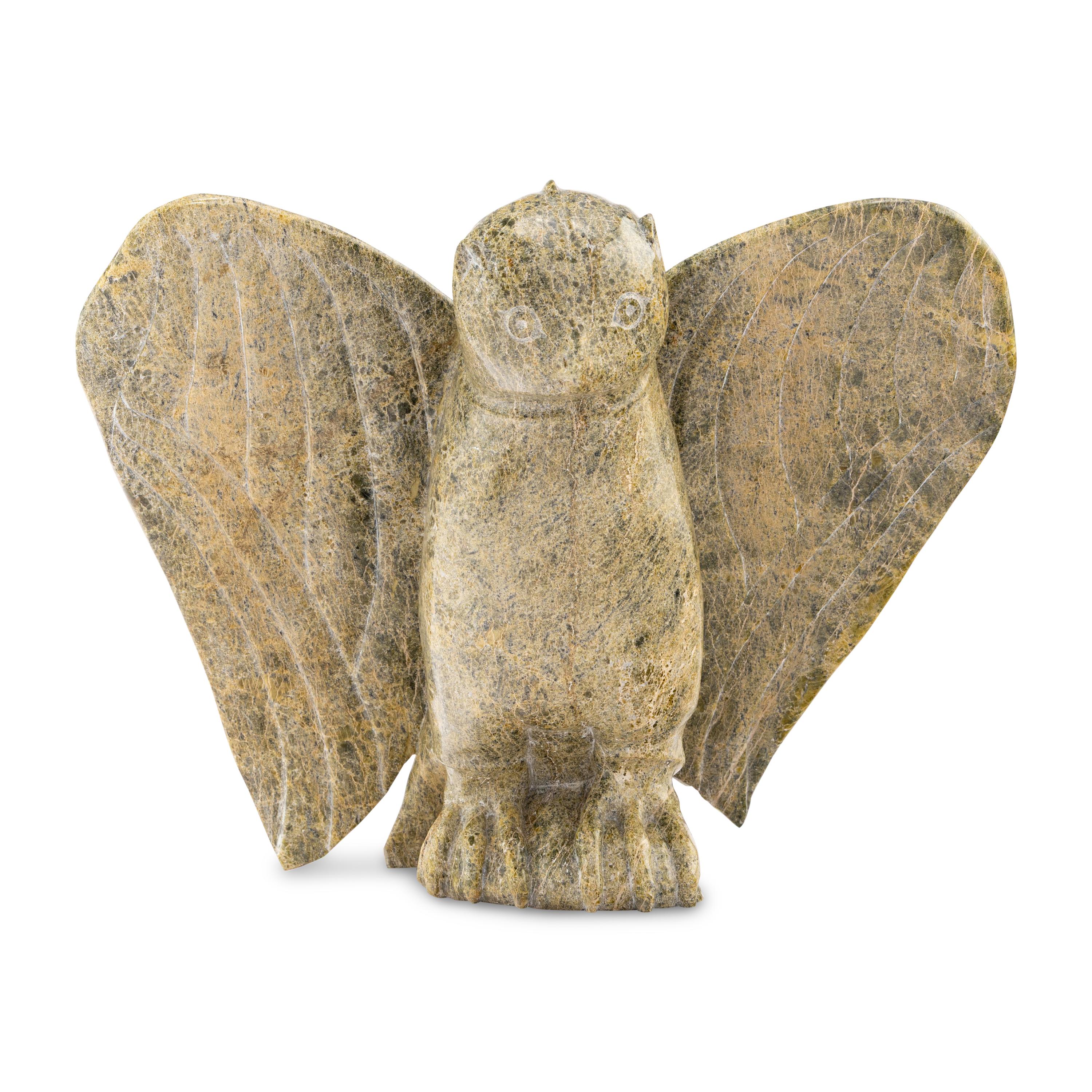 Owl, Exhibited