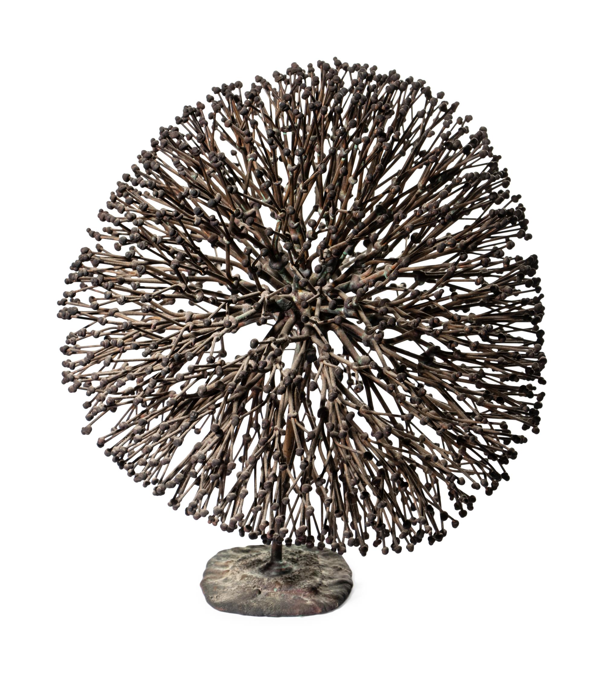 Untitled (Bush)