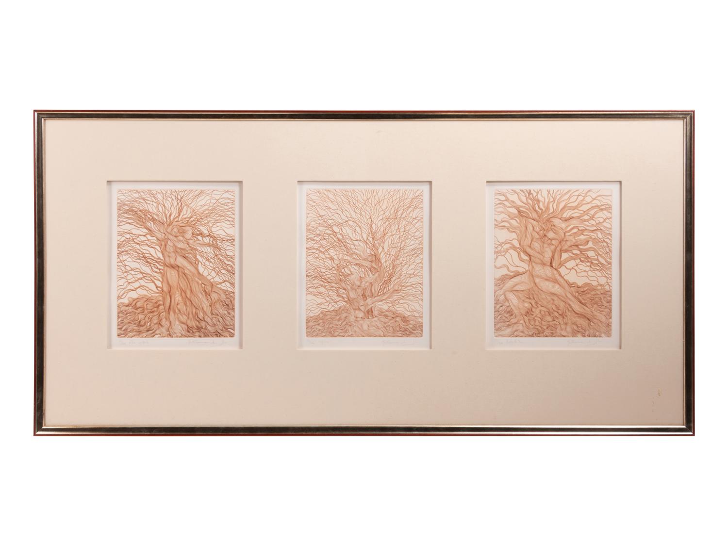 Willow Etching Triptych