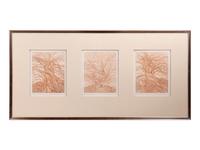Willow Etching Triptych