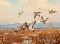 Flight