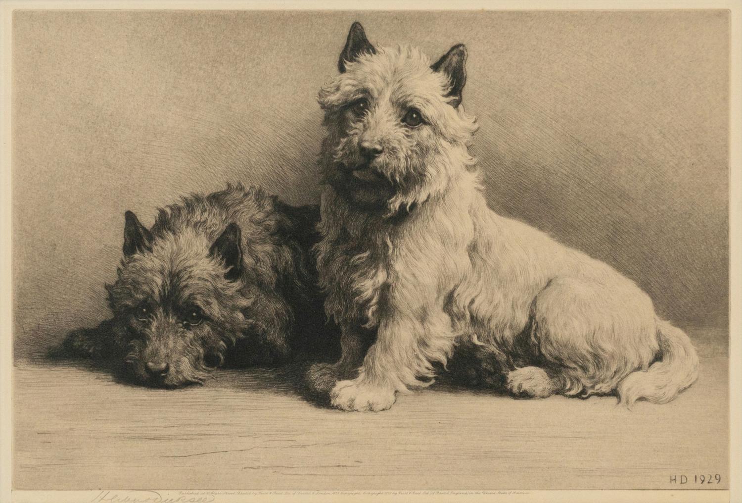 Two Terriers
