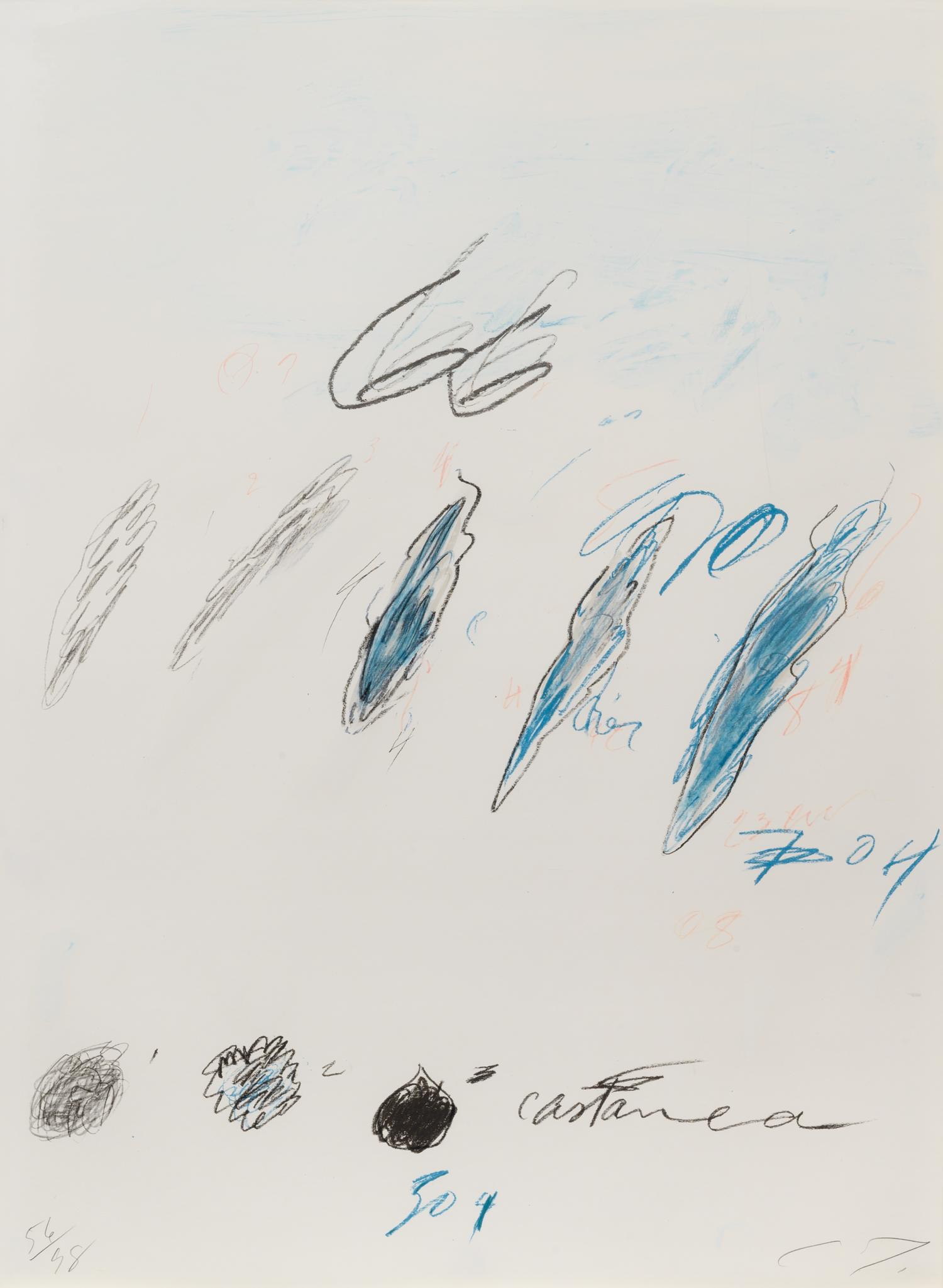 Natural History Part II: Some Trees of Italy (complete portfolio of 8)
