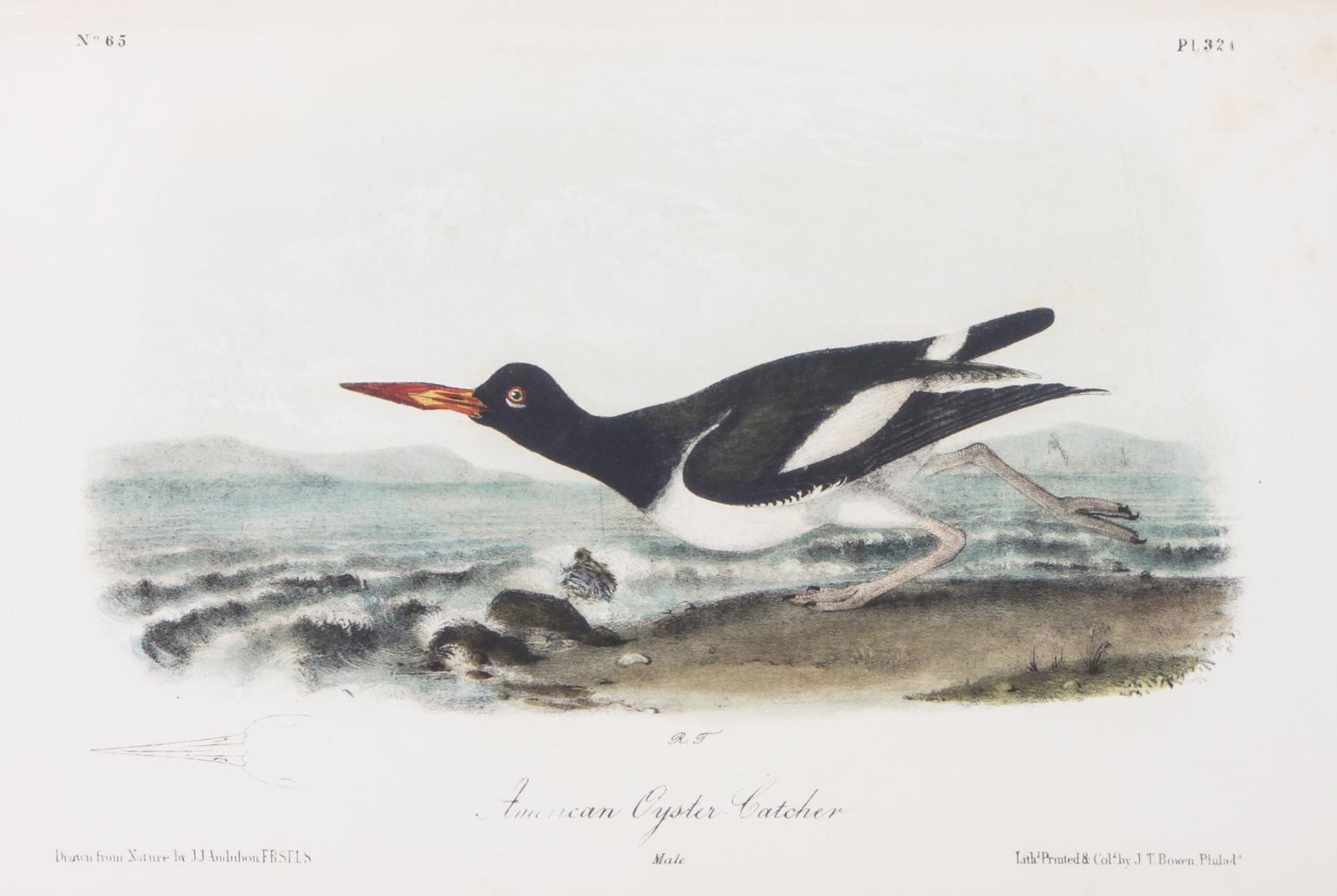 Audubon, John James, after Each approximately: 10 1/2 x 6 3/4 inches.