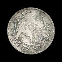 A 1795 Flowing Hair 50c Coin
