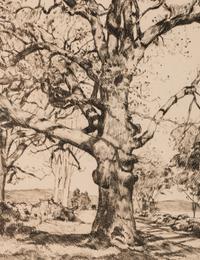 Wayside Inn—Oaks in Spring , 1926