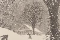 Returning Home - Winter